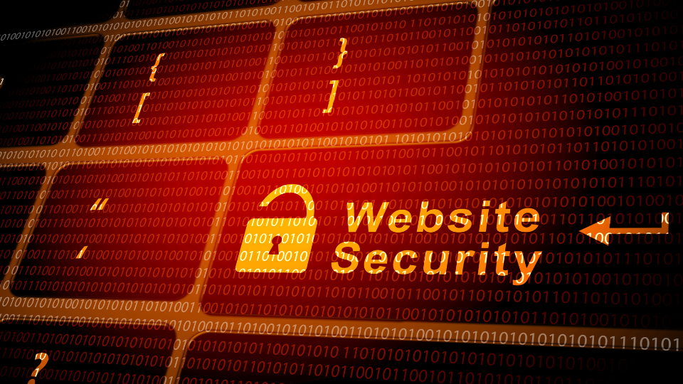 seguridad website